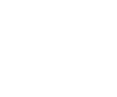 XEVIO Logo